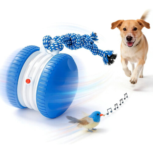 Interactive Ball Toy for Dogs and Cats, Chew-Resistant