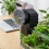 Automatic Fish Feeder 60 ml Adjustable Timer for Pellets 7