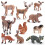Animal Model Figures Playset 10 Pieces 8