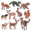 Animal Model Figures Playset 10 Pieces 4