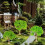 Model Trees Diorama for Railway DIY Scenery 3 Pack 4