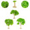 Model Trees Diorama for Railway DIY Scenery 3 Pack 6
