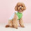 Ademend polyester hondenvest met print 4