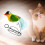Brinquedo Elétrico para Gatos, Pássaro de Pelúcia com Pena e Apito, Verde 7