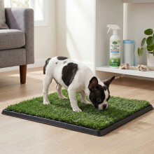 Skylos Dog Potty Tray Artificial Grass Puppy Toilet Trainer Indoor Pet Pee Pad