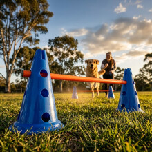 Skylos Dog Agility Training Set Hurdle Cone Kit Height Adjustable Storage Bag