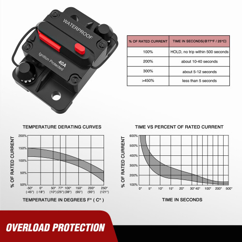 Resettable Circuit Breaker 12-48V DC 40A Copper Lugs 1