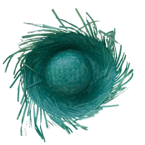 Handgewebter Mexicanos-Strohhut, farbenfrohe-Grün
