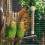 Bird Cage Heater – Safe Even Heat with Temperature 7