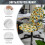 Sunflower Butterfly Chair Cover Stretchable High Back 6