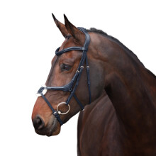 (Full, Black) Velociti Lusso Leather Horse Grackle Bridle