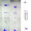Κουδούνι ανέμου Angel Μεταλλικό Αλουμινένιο Σωλήνα Bell6-Tube 4