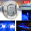 LED Deck Courtesy Light 12V DC 6-LED White/Blue Waterproof 1