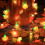 Φωτιστικά Acorn and3D Pumpkin σε σχήμα κορδονιού με μπαταρία 6,5ft10 LED 4