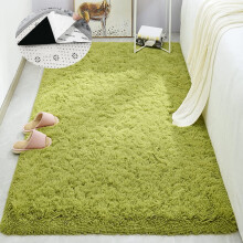 Green Soft Shaggy Area Rug Rectangular 31 x 63 Inches