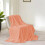 Raschel Winter Blanket Double-Layer Ultra Soft Plush 1