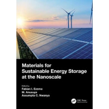 Materials for Sustainable Energy Storage at the Nanoscale Paperback Bo