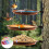 Durable Wall-Mounted Bird Feeder and Bath 7