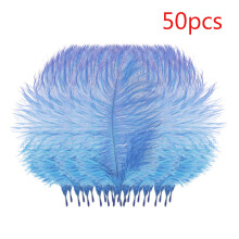 Colorful Plumage for Wedding Centerpieces 50 Pcs