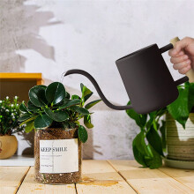 GießKanne für Zimmerpflanzen, 35 Oz/1000 Ml Metall-Edelstahl-GießKanne mit Langer TüLle für Den Innenbereich, Schwarz