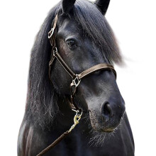 (Cob, Brown) Firefoot Leather Padded Horse Headcollar