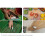 10-Pack for  GO 3/GO 3S Sticky Tabs Snap- Design Securely Fixes Single Camera for Shooting 3