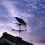 Μεταλλικό ανεμοδείκτη Eagle and Sailing Boat 1 σετ 5