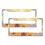 Sunflower License Plate Frames Aluminum 2 Pack 1