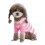 Pet Sweaters for Autumn Winter Christmas Small Medium 3