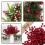 Artificial Red Berry Stems with Holly 32-Pack 7