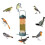 Proof Wild Bird Feeder with Weight Activated Rotating Perch - Seed Capacity 4