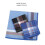 Cotton Men's Square Bandanas 3-Pack 7