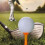 Golftees Plast 3-1/4" 50-pack 6