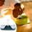 Pet Water Dish Double Bowl with Automatic Dispenser 6