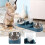 Pet Water Dish Double Bowl with Automatic Dispenser 2
