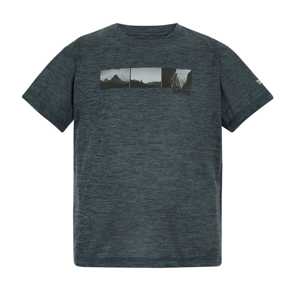 Regatta (14 Years, Dark Storm Marl) Childrens/Kids Alvarado Back Print T-Shirt