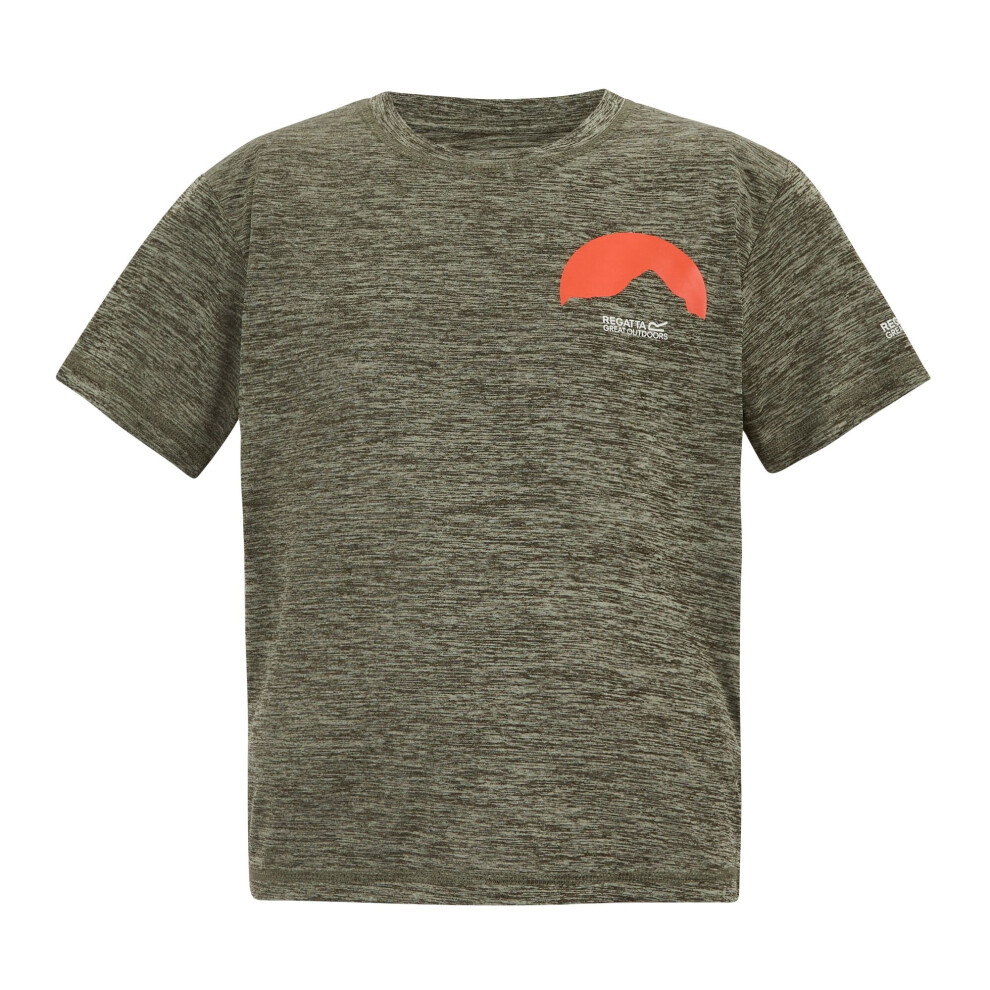 Regatta (14 Years, Dark Khaki Marl) Childrens/Kids Alvarado Back Print T-Shirt