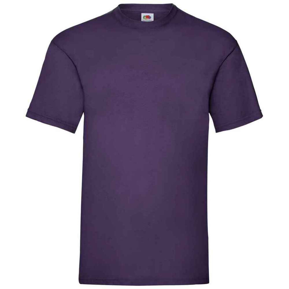 Fruit Of The Loom (3Xl, Purple) Mens Valueweight T-Shirt