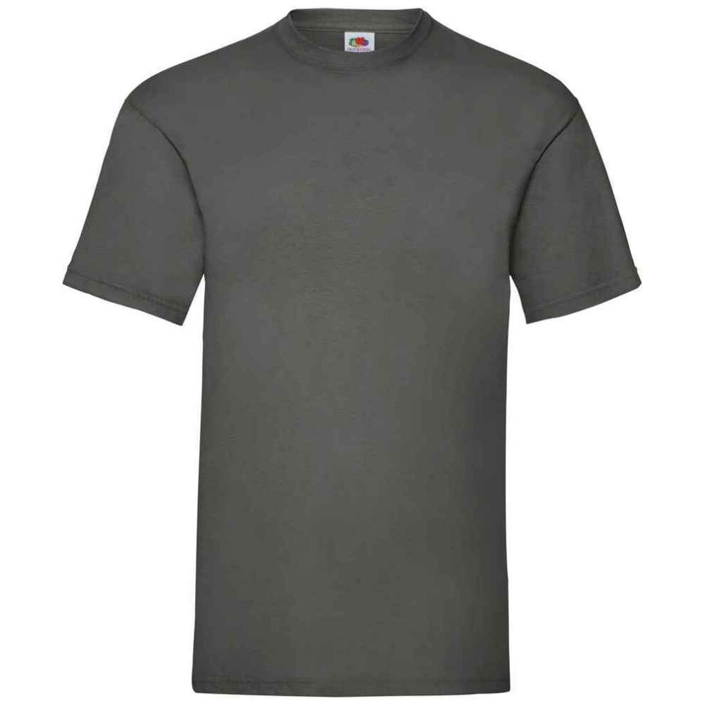 Fruit Of The Loom (L, Light Graphite) Mens Valueweight T-Shirt