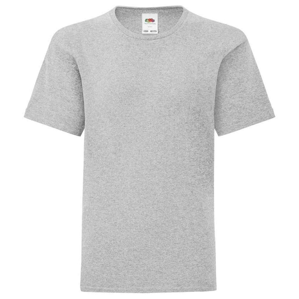 Fruit Of The Loom (14-15 Years, Heather Grey) Childrens/Kids Iconic T-Shirt