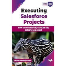 Executing Salesforce Projects How to successfully execute any Salesfor
