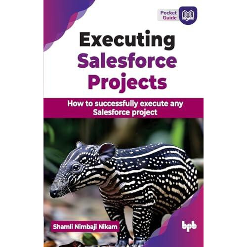 Executing Salesforce Projects How to successfully execute any Salesfor