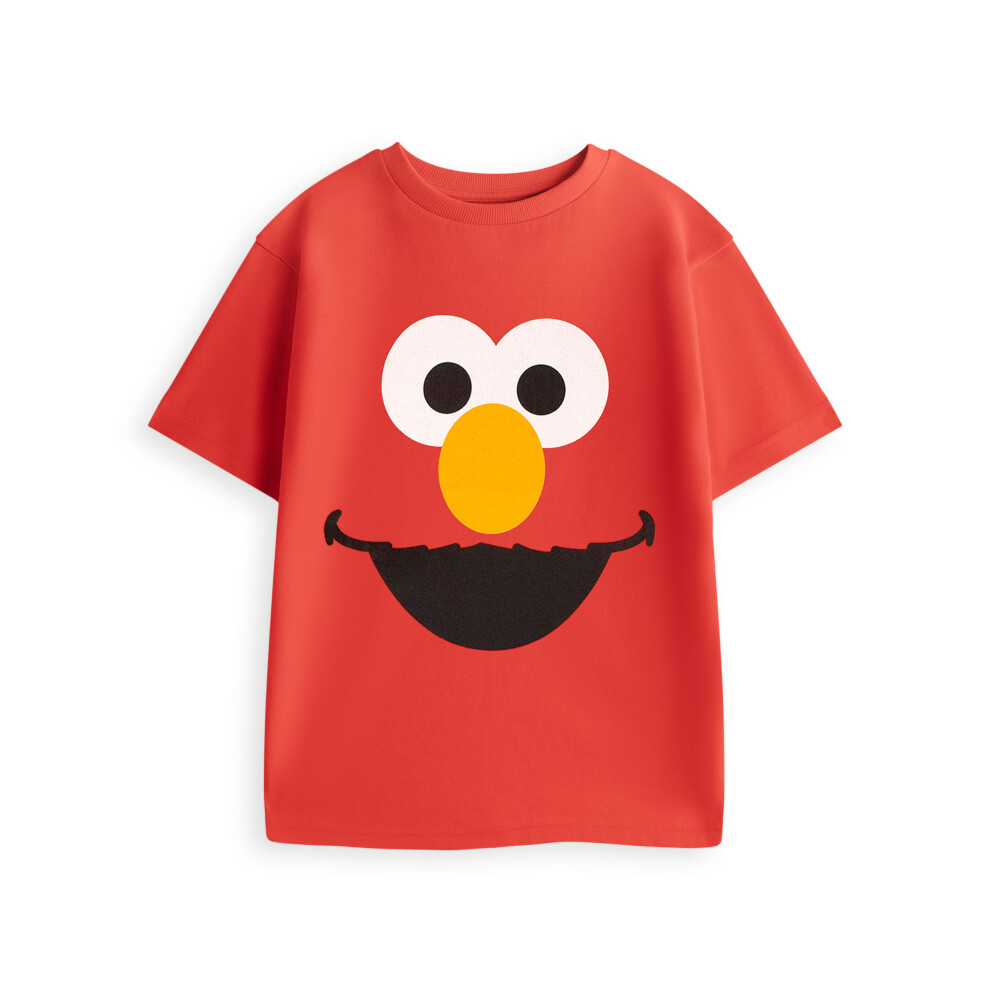Sesame Street (5-6 Years) Short Sleeved T-Shirt (Unisex Kids Red)