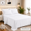 (Double) Luxury Egyptian Cotton Flat Bed Sheet Single Double King Size 1