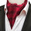 Men's Ascot Scarf Paisley Pattern Wedding Tie 1