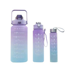 Ensemble de 3 bouteilles d'eau réutilisables violettes pour sports de plein air