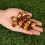 Golf Iron Ferrules Colorful Striped 0.35in 0.37in 6