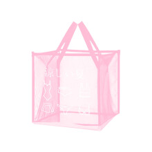 Foldable Mesh Laundry Basket 13 x 13 x 13 in Transparent