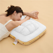 Oreiller cervical ananas lavable à noyau élastique doux