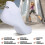 Athletic Running Ankle Socks Low Cut Cushioned 6 Pairs 6